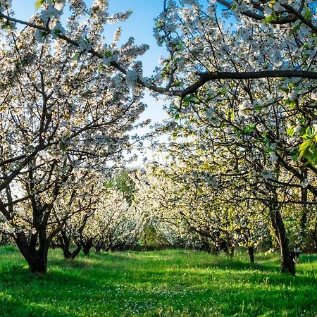 Monferrato Inn Rivarone ภายนอก รูปภาพ