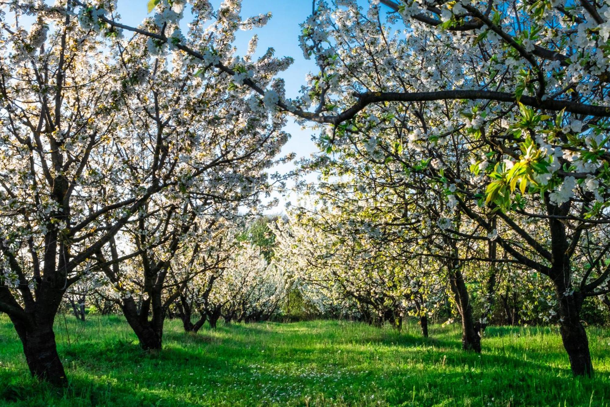 Monferrato Inn Rivarone ภายนอก รูปภาพ