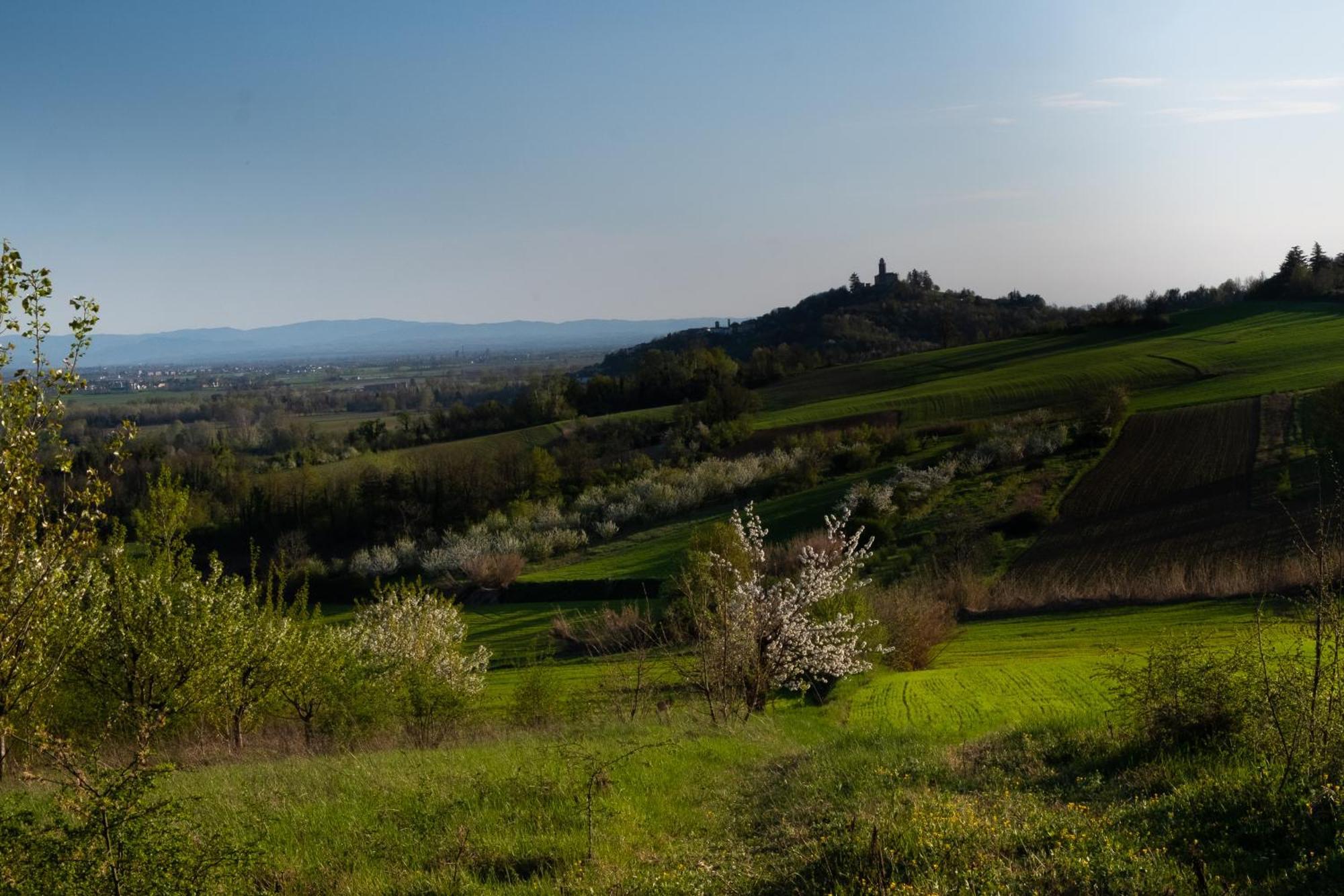 Monferrato Inn Rivarone ภายนอก รูปภาพ